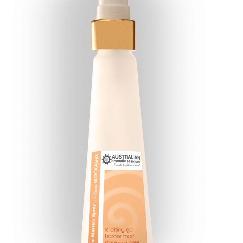 Life Area Mastery Essences